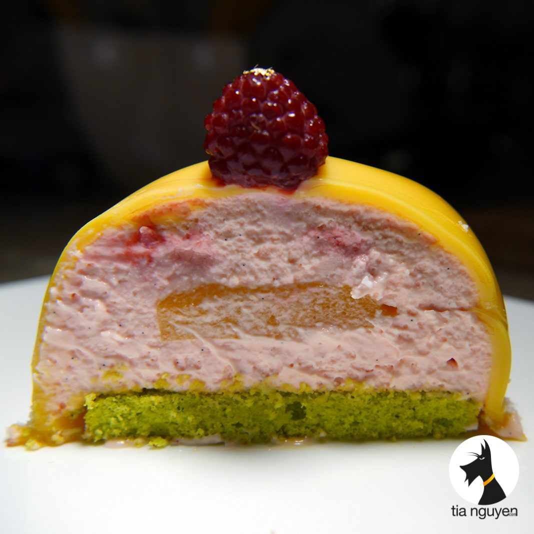 BÛCHE PASSION, MANGUE & FRAMBOISE - Cook Expert Magimix