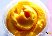 SORBET MANGUE & PASSION