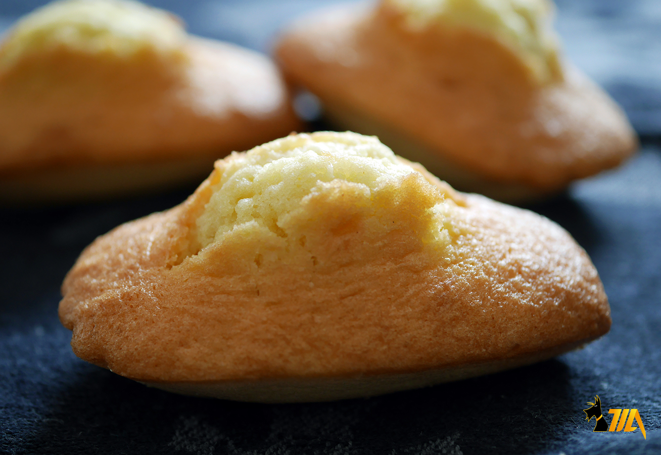 Madeleines A La Noix De Coco Cook Expert Magimix